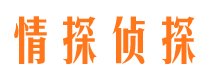 汉源侦探公司